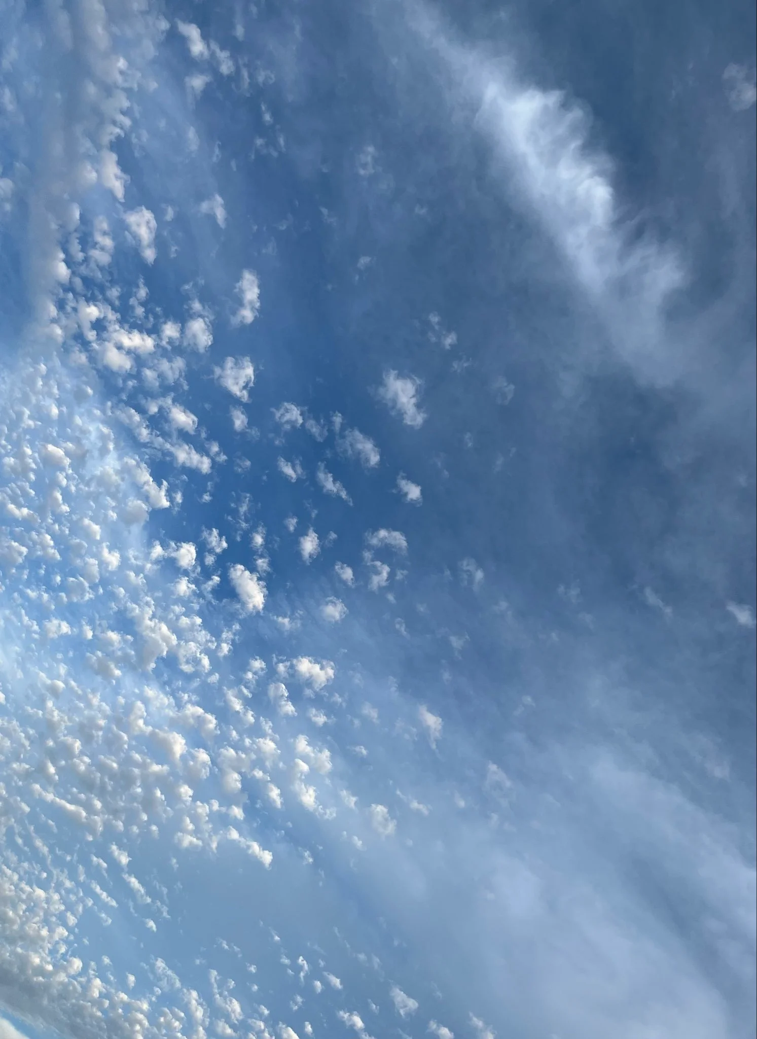 Someone in Japan Spotted a Little Autumn. It Got Away.