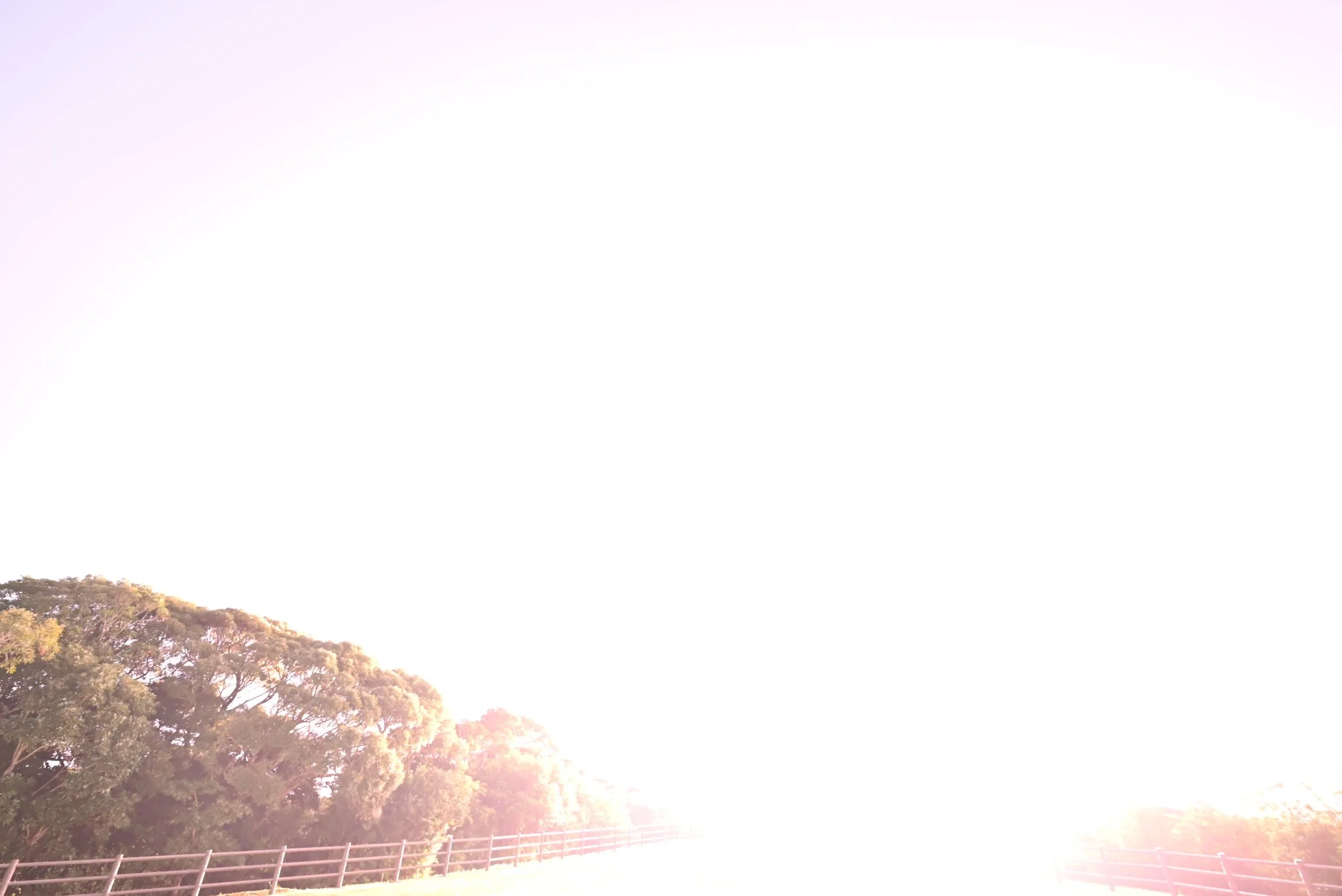 The 'Worst Rocket Launch Photo' Contest, Where a Blank White Frame Is Weirdly Accurate